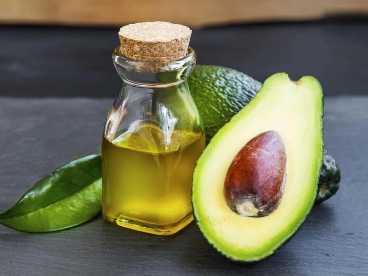 Cooking oil faceoff Avocado Oil vs Canola Oil who wins? AvocadoFruit